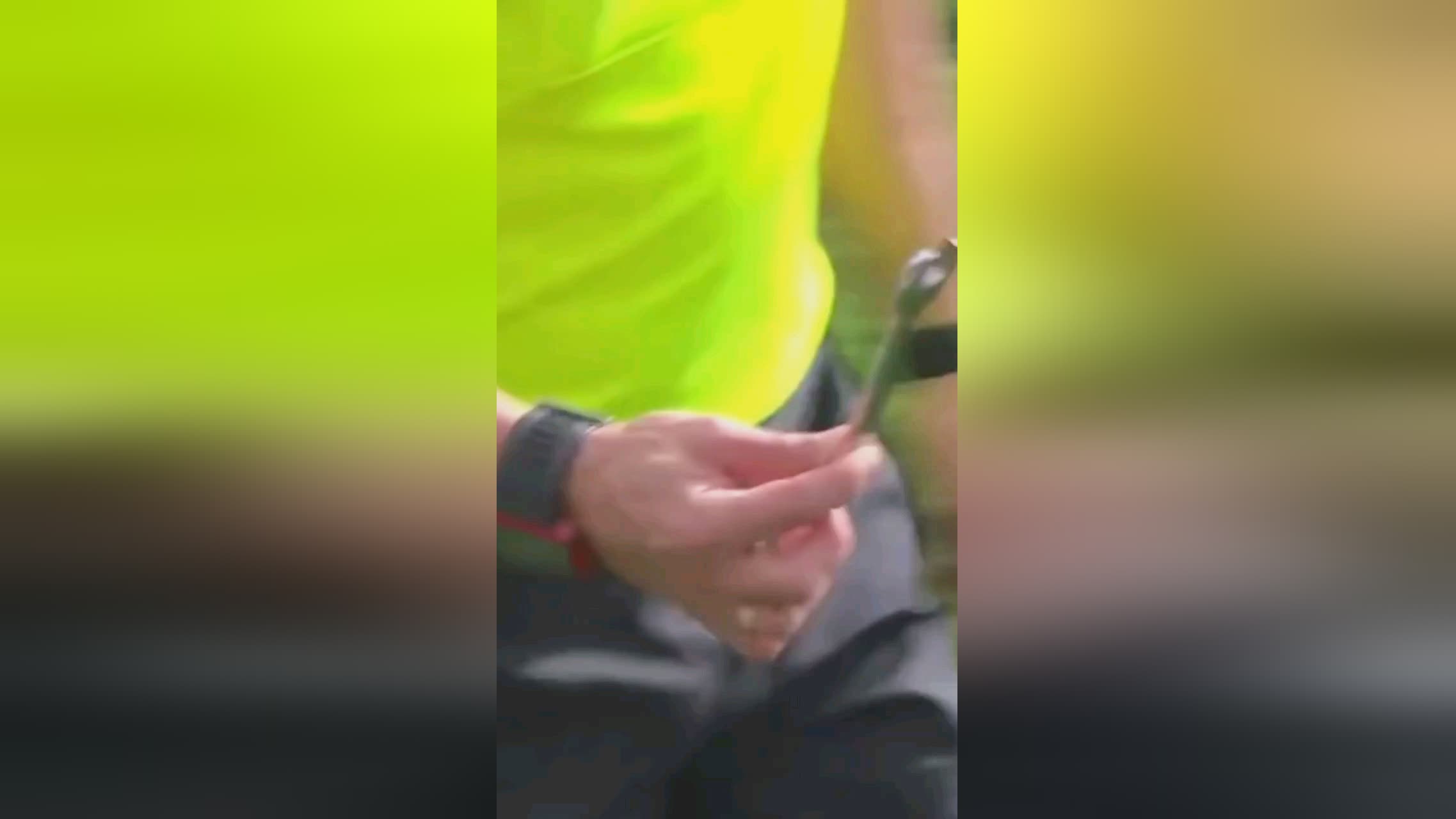 新集结备战